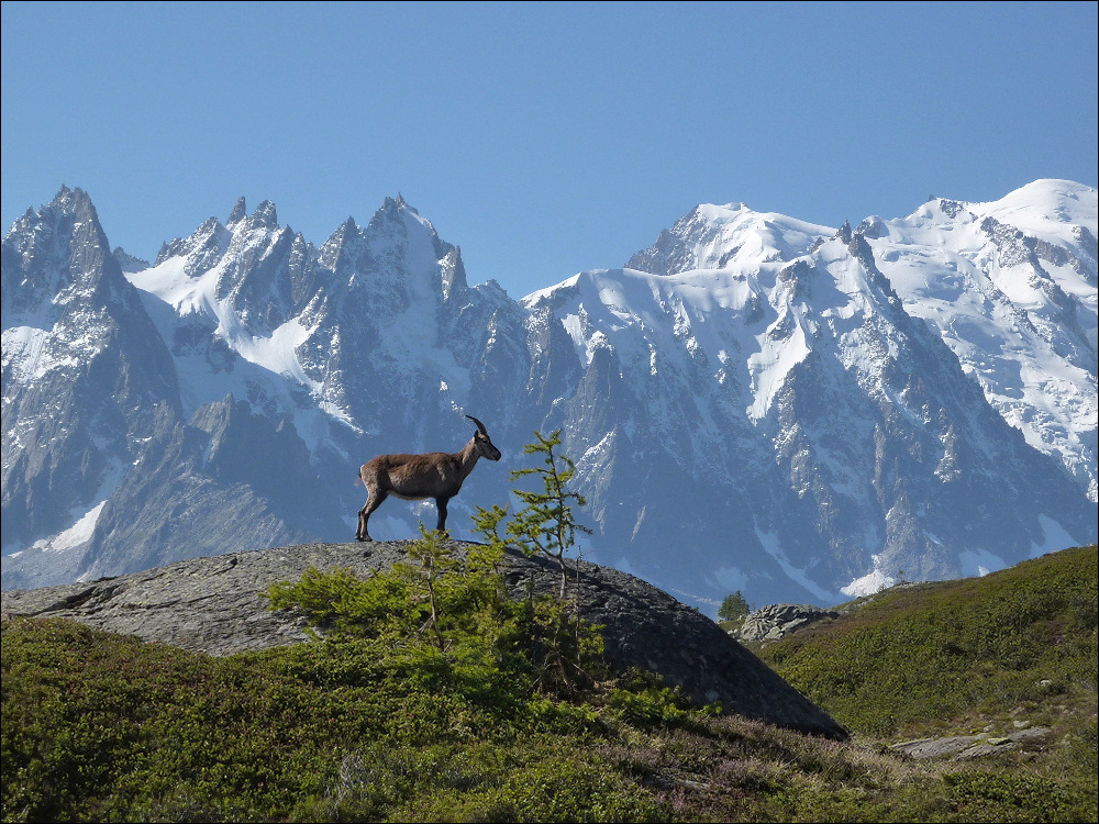 Urlaubsfotokitsch