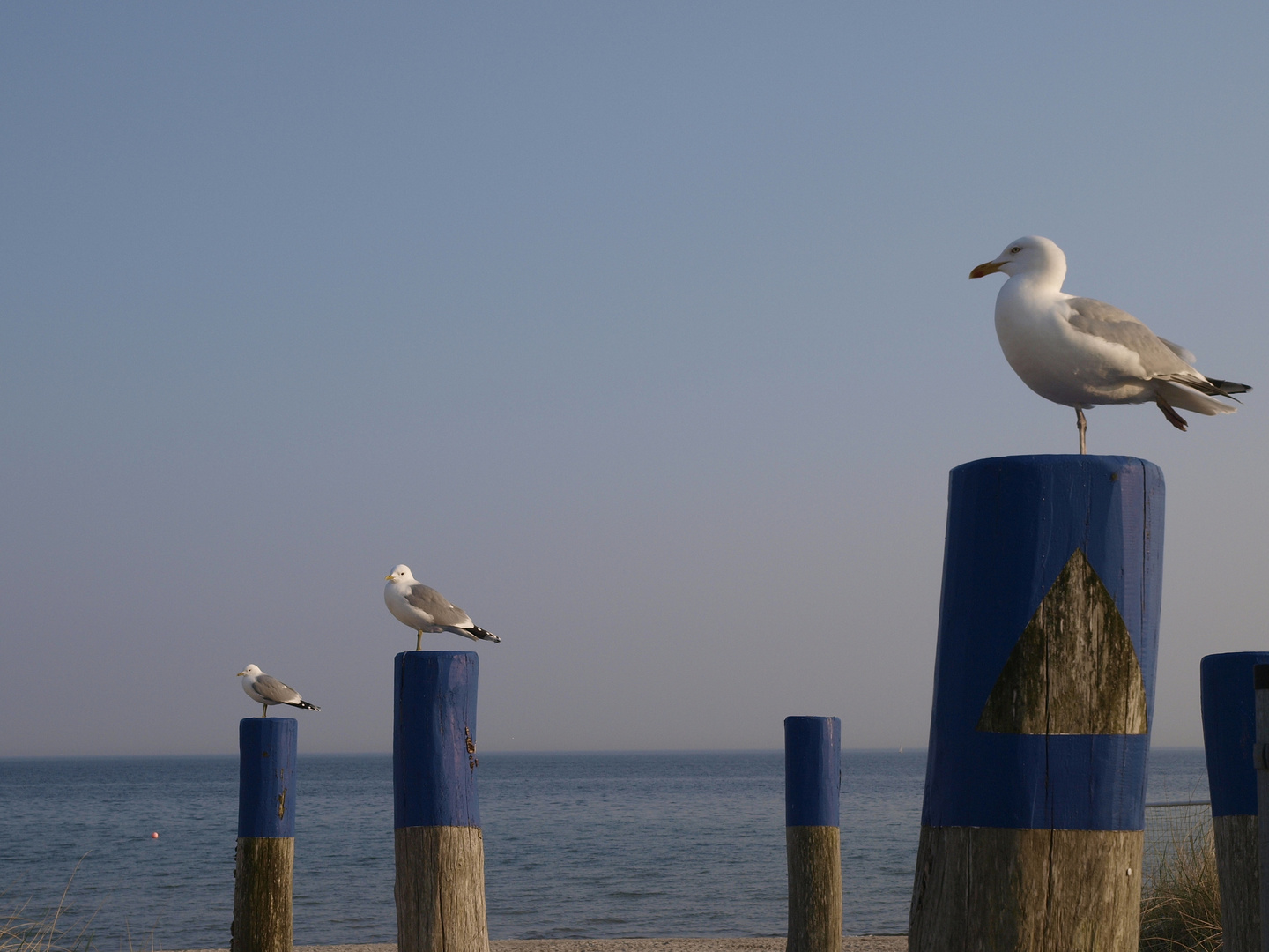 Urlaubsgefühle weckend