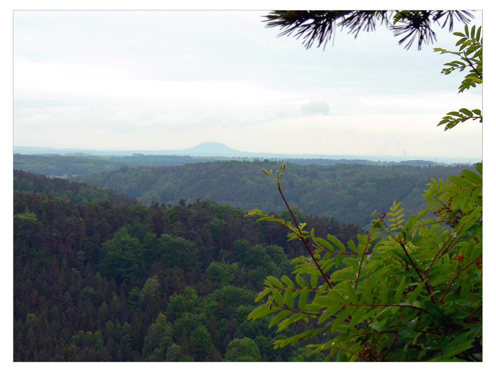 Urlaubsgrüße (16) - Kokorin