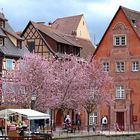 Urlaubsimpression - Colmar