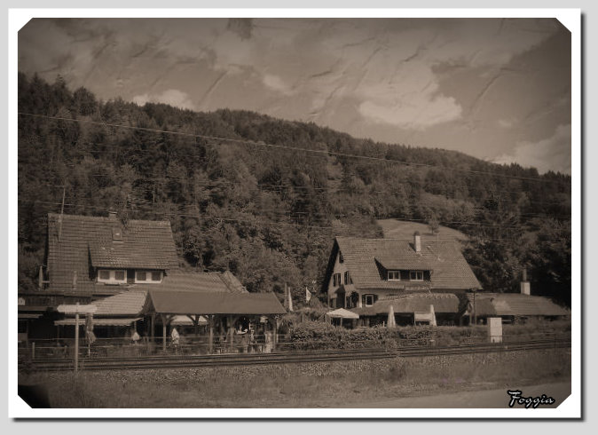 Urlaubsimpressionen Oberharmersbach/ Zell