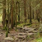 Urlaubsknips - Wanderung auf die Kösseine