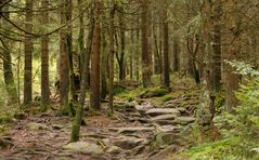 Urlaubsknips - Wanderung auf die Kösseine