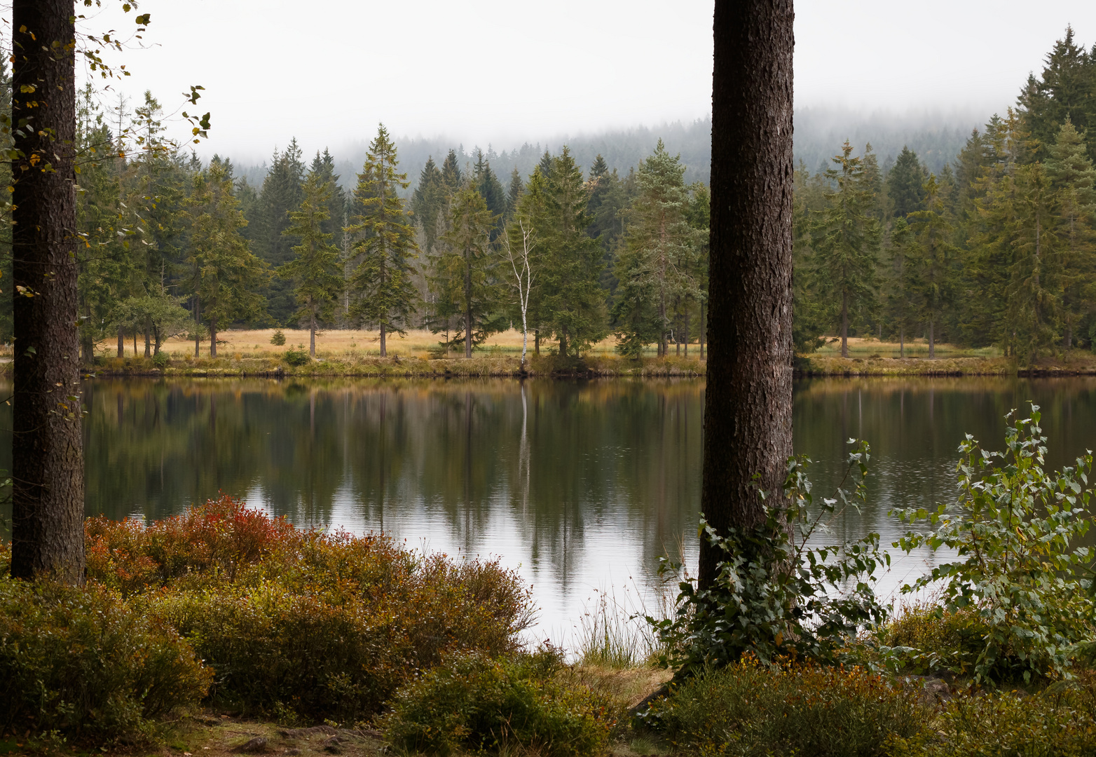 Urlaubsknipserei - Fichtelsee