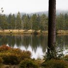 Urlaubsknipserei - Fichtelsee