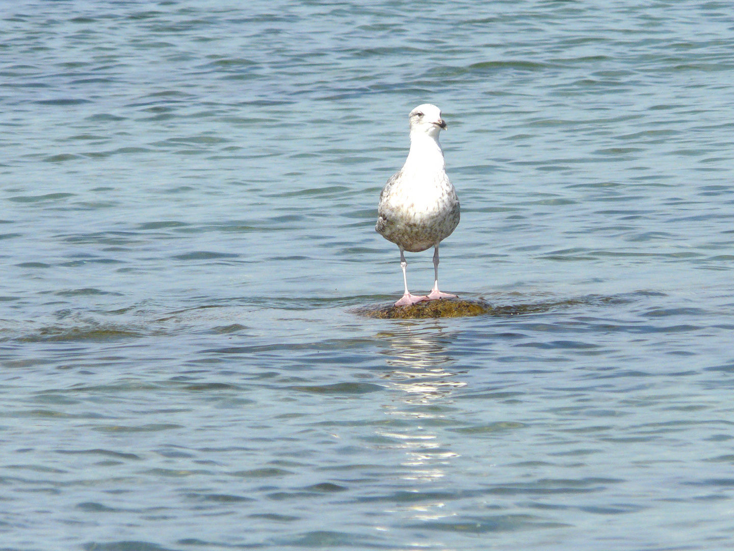 Urlaubsmitbringsel