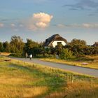 Urlaubsparadies Hiddensee