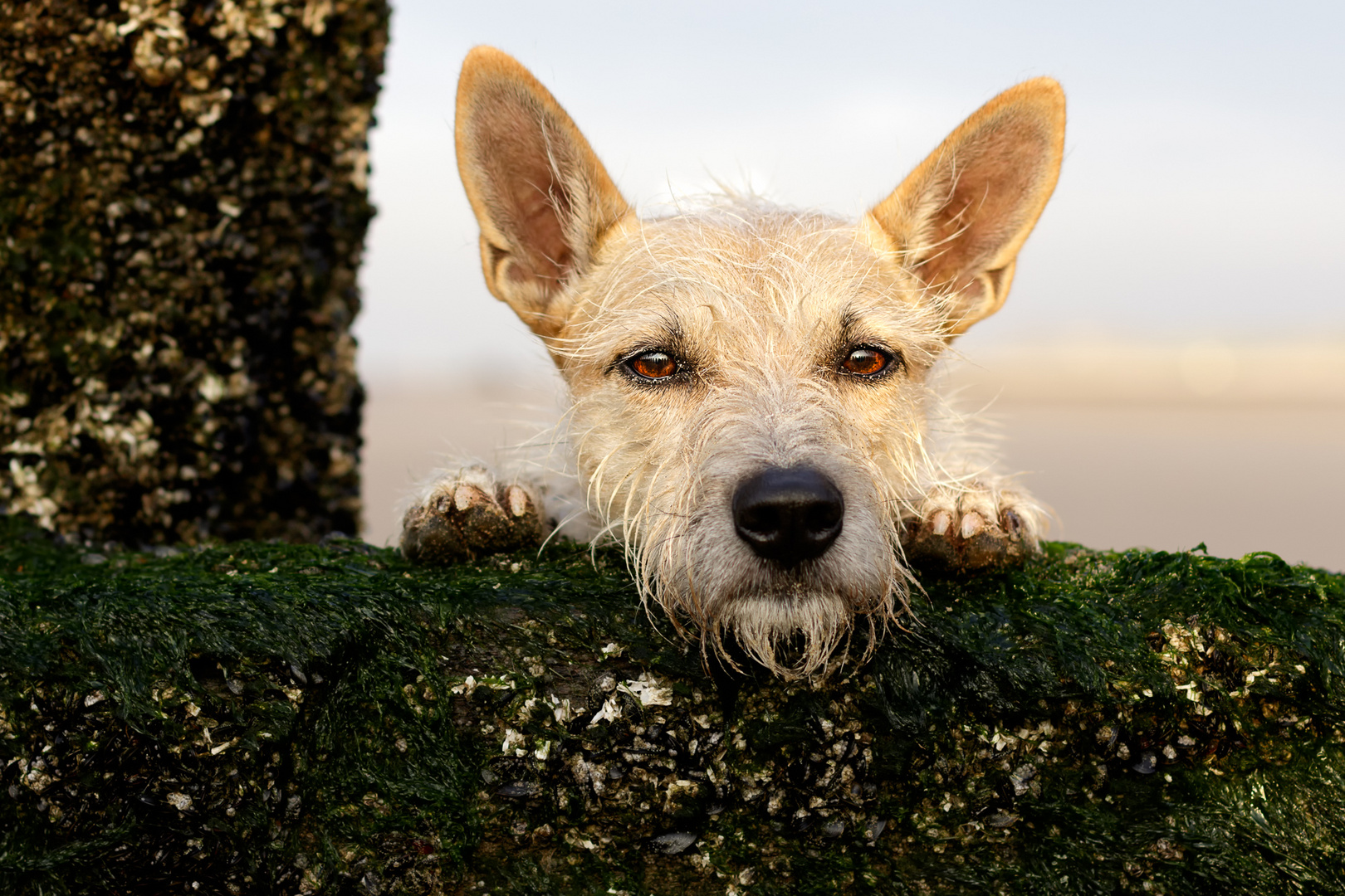 Urlaubsportrait