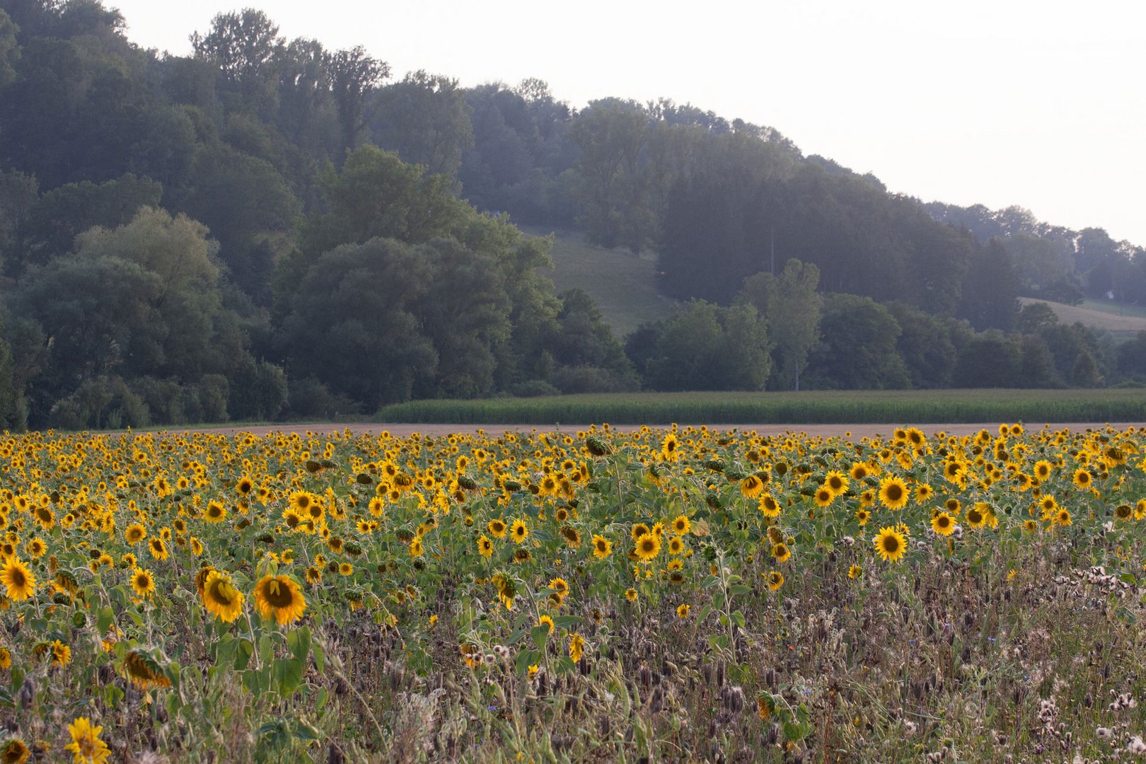 Urlaubsreif Foto Bild Sommer Outdoor Natur Bilder Auf Fotocommunity