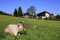 Urlaubsstimmung im Allgäu