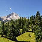 Urlaubstage auf der Kreuzeckalm.........