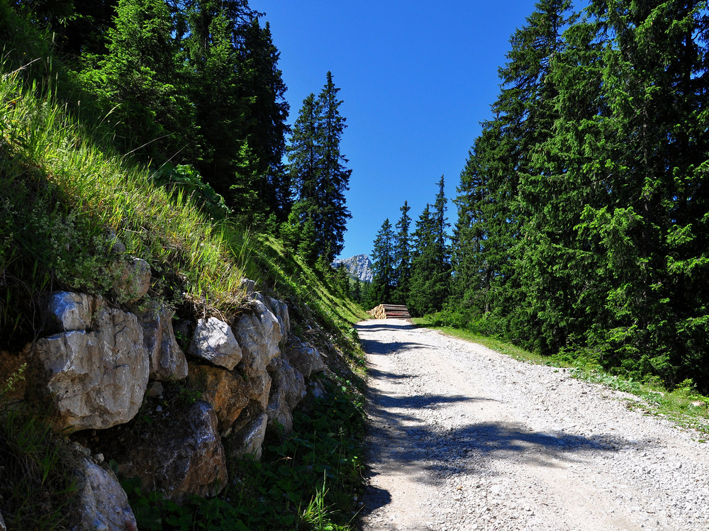 Urlaubstage in Grainau- Kreuzeckalm...........