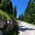 Urlaubstage in Grainau- Kreuzeckalm...........