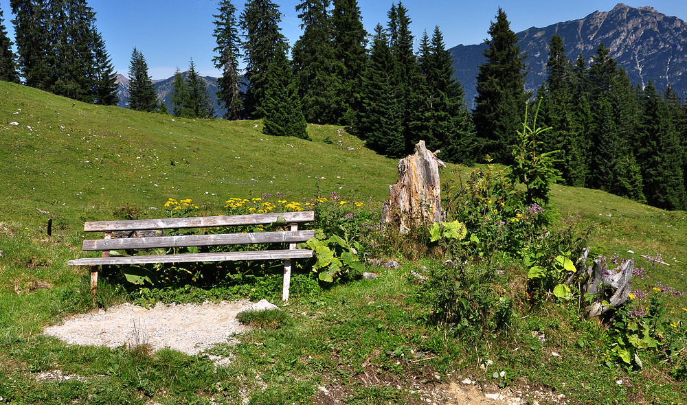 Urlaubstage in Grainau- Kreuzeckalm.........#2