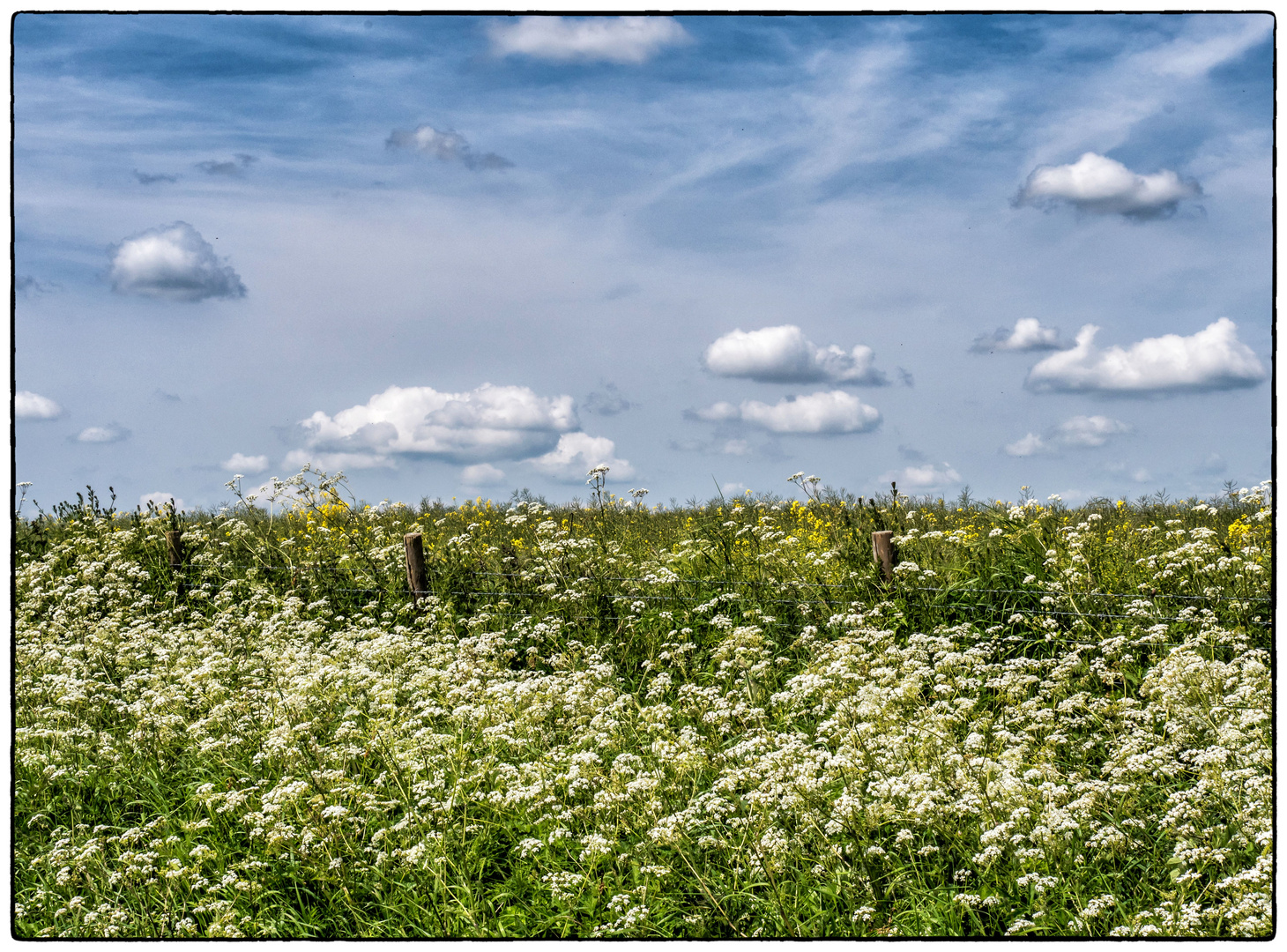 Urlaubswetter in Wiltshire