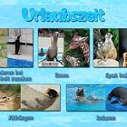 Urlaubszeit