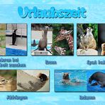 Urlaubszeit