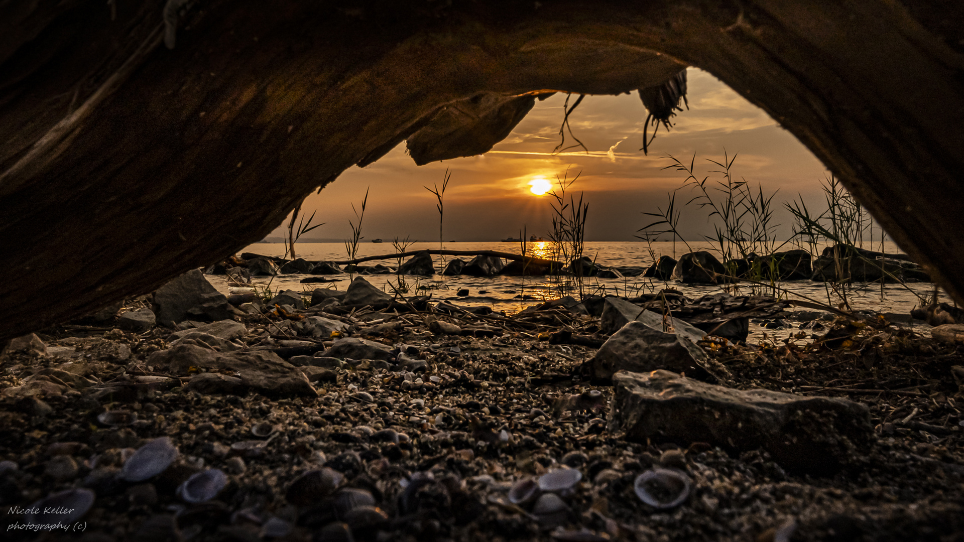 Urlaubszeit… „Blick durch die Wurzel auf den Bodensee“ 