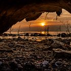 Urlaubszeit… „Blick durch die Wurzel auf den Bodensee“ 