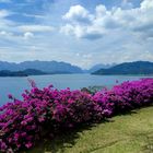 Urlaubsziele : Khao Sok Nationalpark