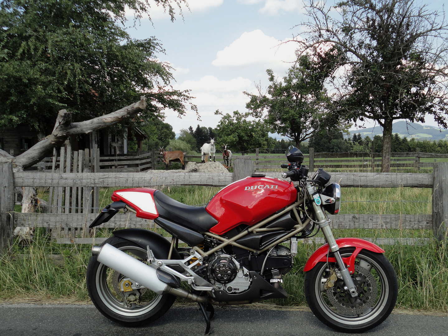 Urmonster DUCATI Monster 900