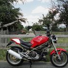 Urmonster DUCATI Monster 900