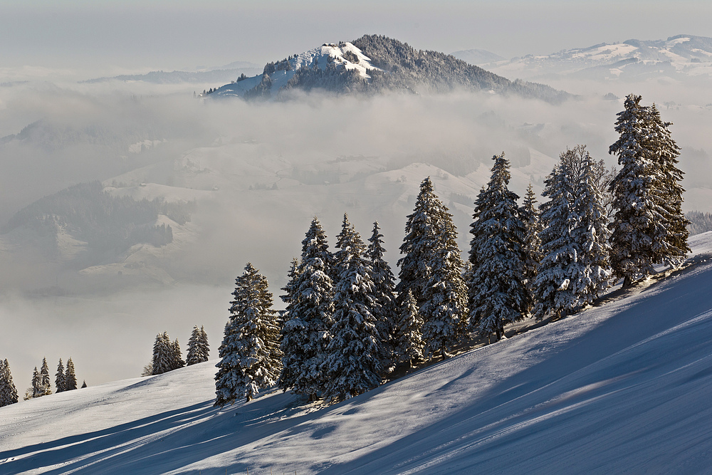 Urnäscher Highlands