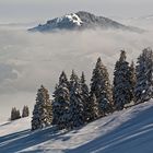 Urnäscher Highlands