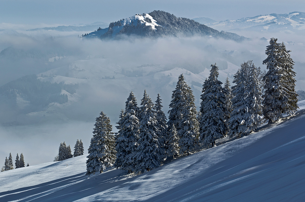 Urnäscher Highlands