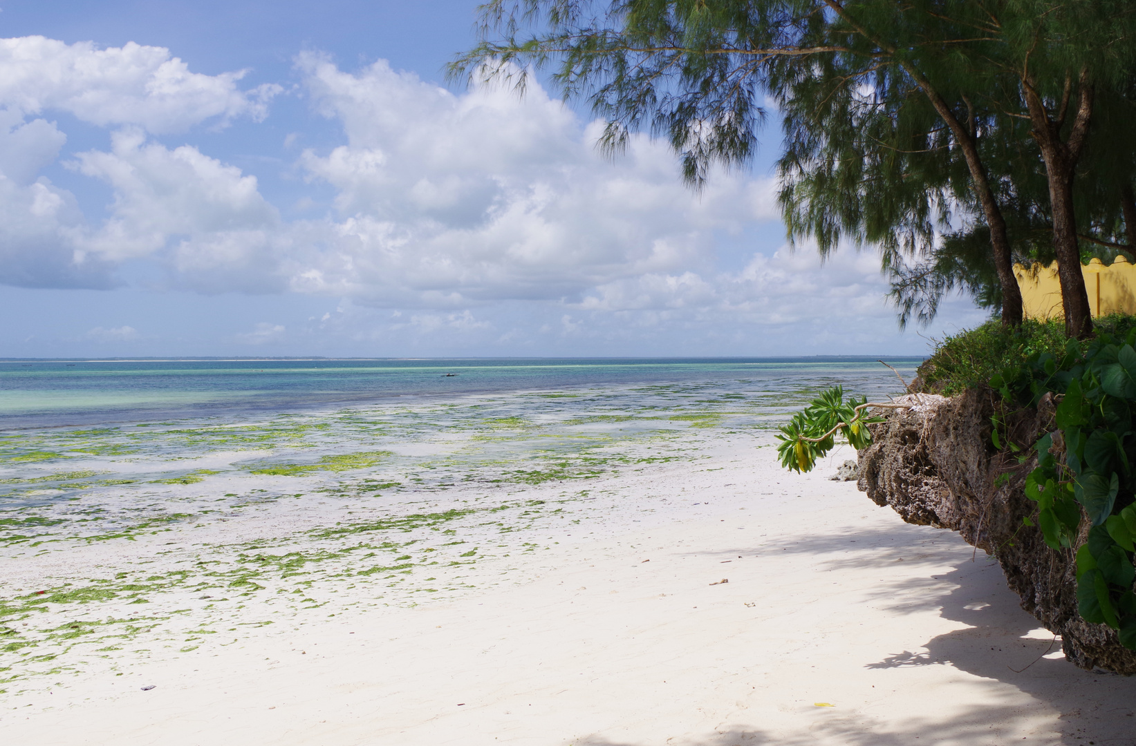 Uroa Beach - Zanzibar