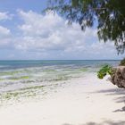 Uroa Beach - Zanzibar