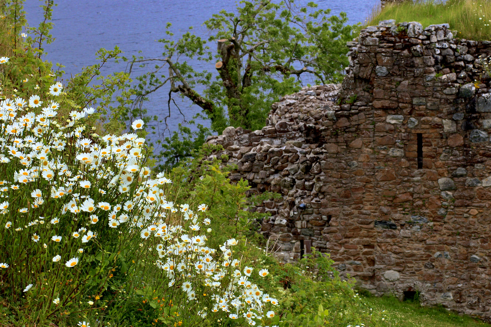 Urquart Castle und Loch Ness