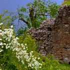 Urquart Castle und Loch Ness