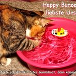 Ursel hat Geburtstag