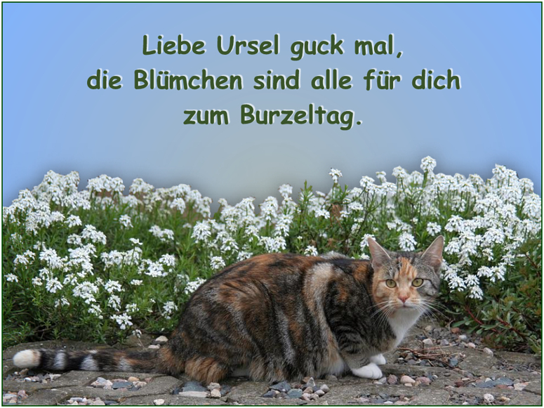 Ursel hat Geburtstag