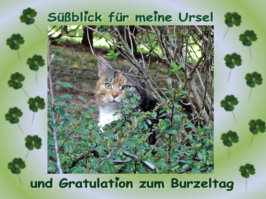 Ursel hat Geburtstag