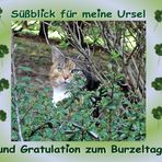 Ursel hat Geburtstag