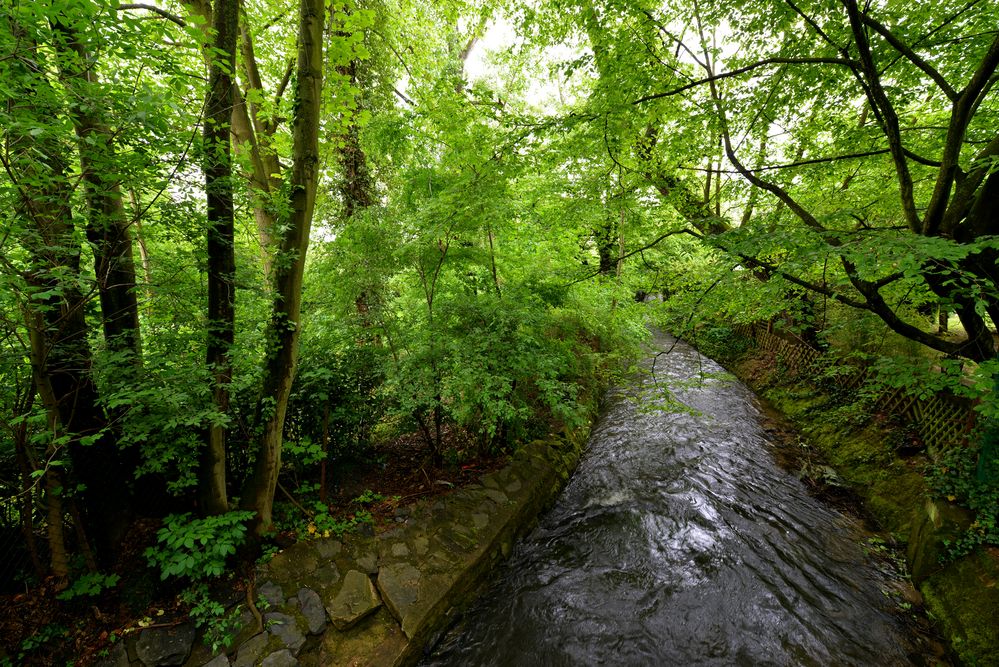 Urselbach in Niederursel