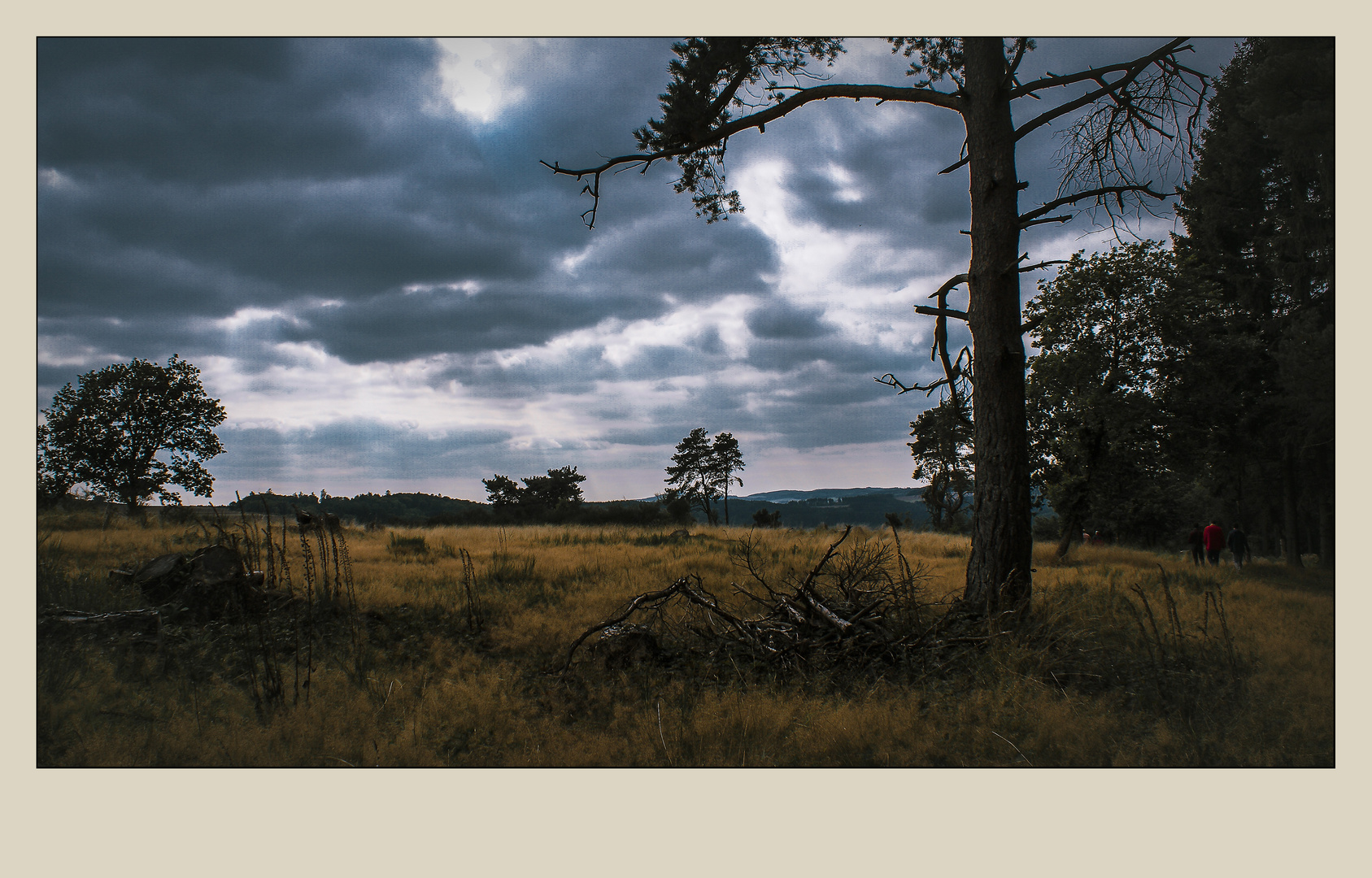 Ursprüngliche Eifel-Landschaft