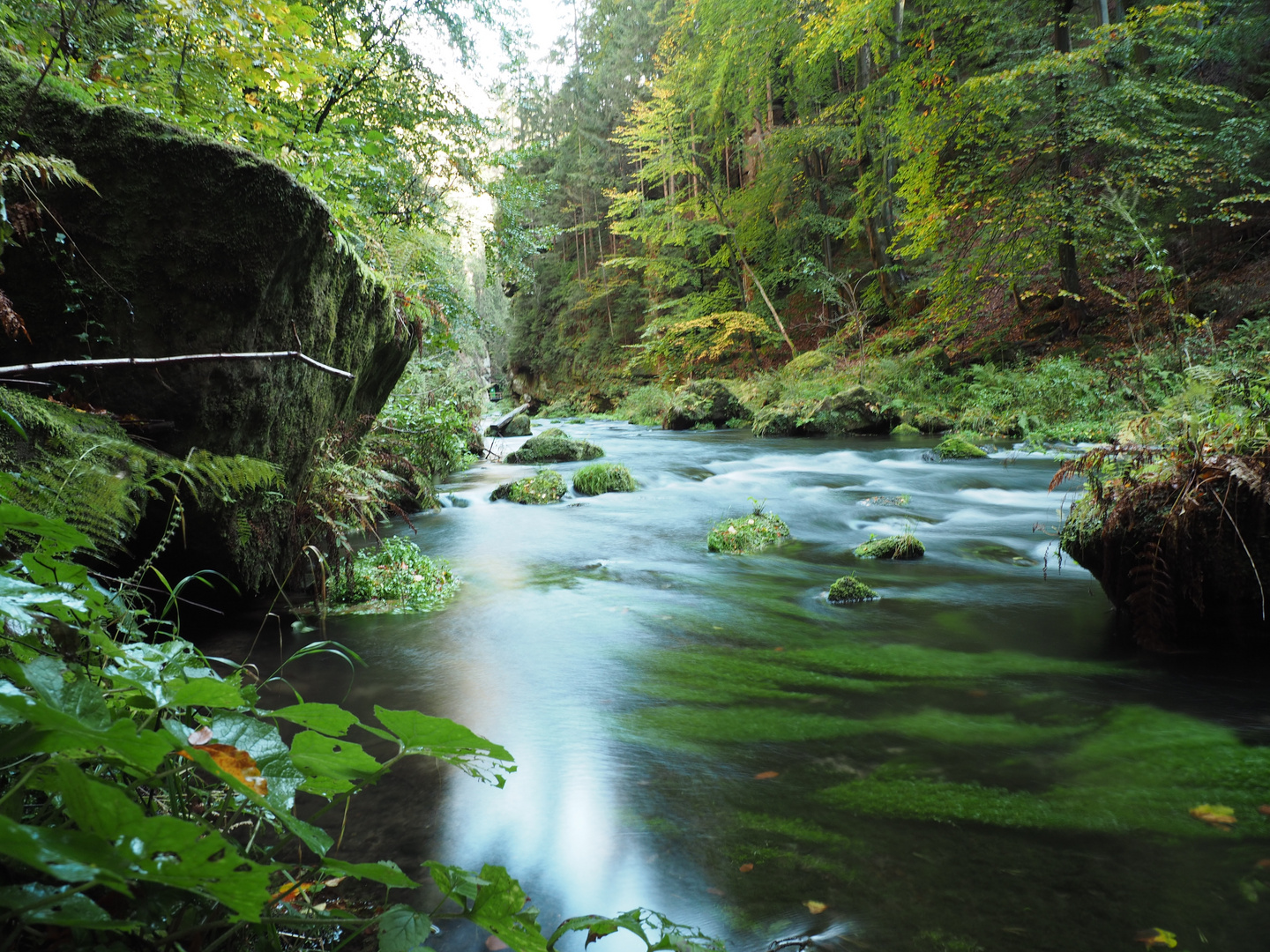 Ursprüngliche Natur