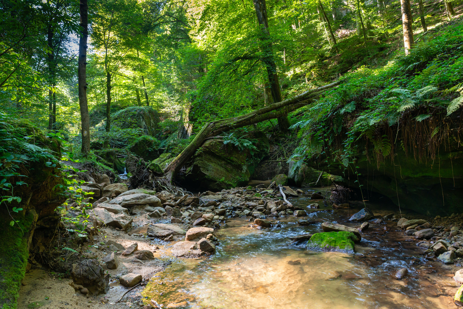 Ursprüngliche Natur, einfach schön!