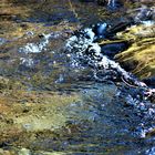 ursprüngliche Natur rund um die schwäbische Alb