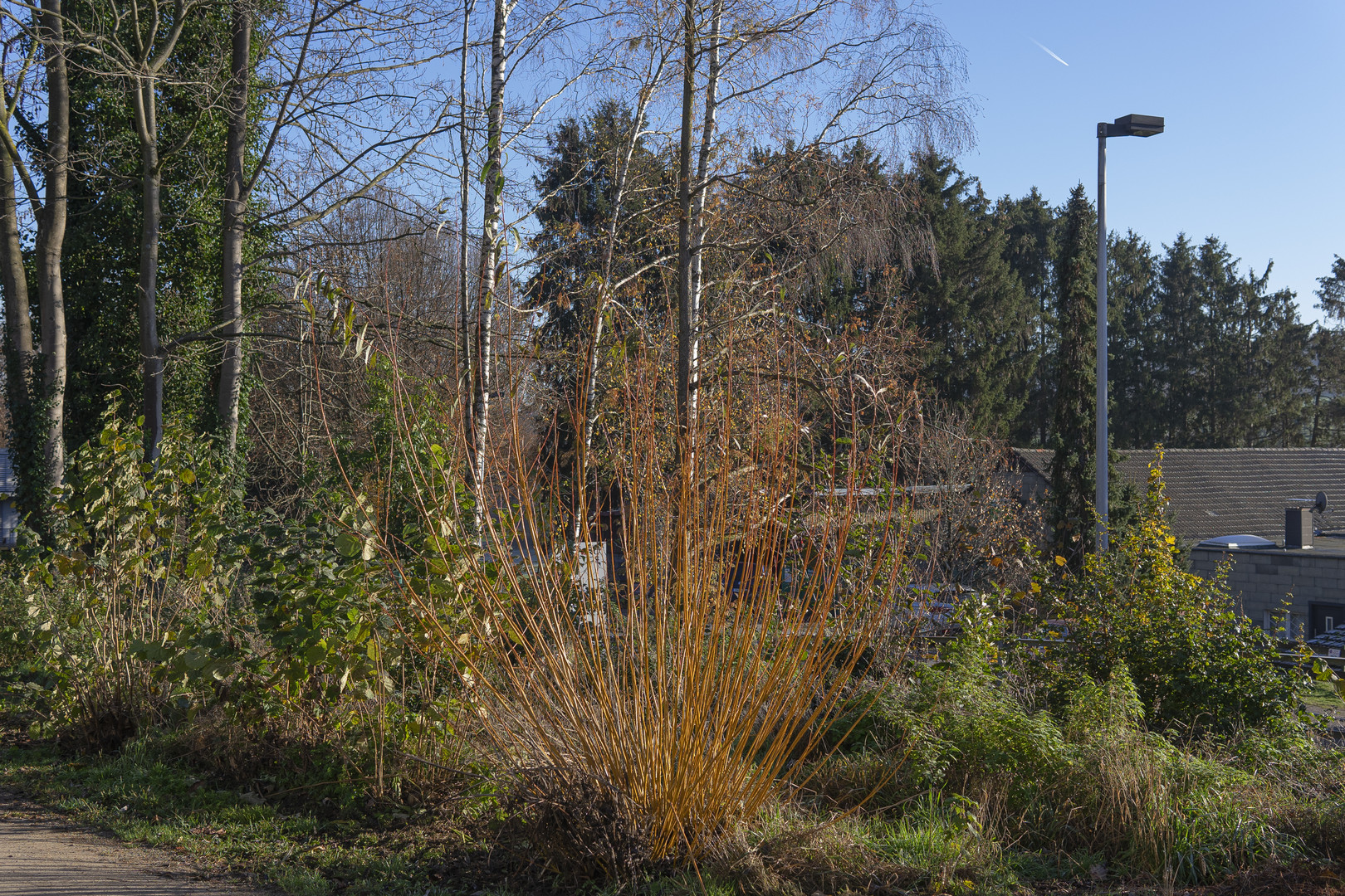 Ursprünglicher Titel (Naturmotive im Bossel'schen Herbst) wird nicht mehr verwendet.