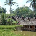 ursprüngliches Dorf auf Java