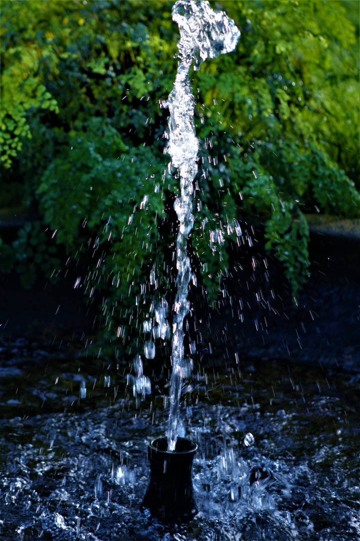 Ursprung allen Lebens ....lebendiges klares Wasser