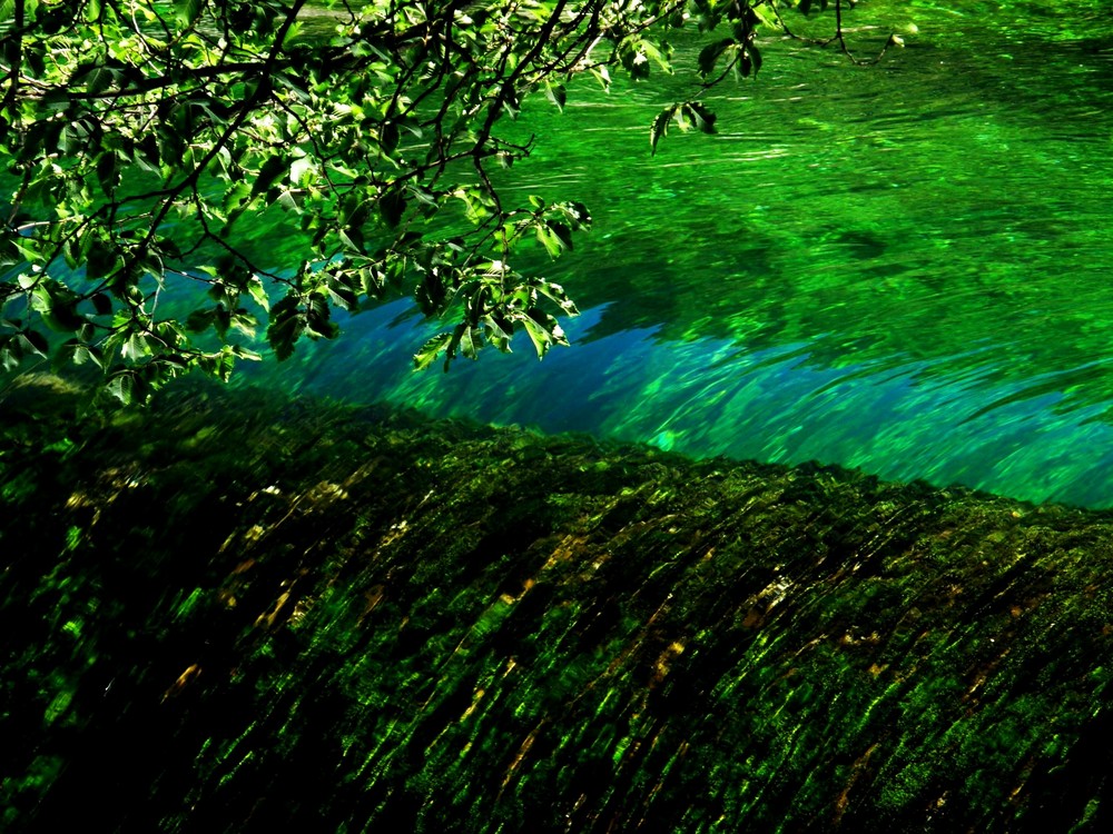 ursprung der sorgue in vaucluse