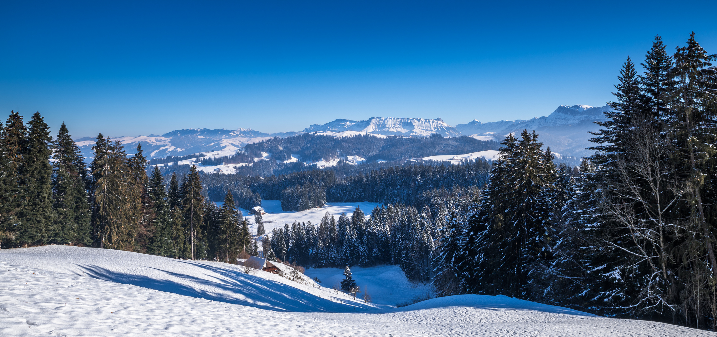 Ursprungsland des echten Emmentaler-Käses