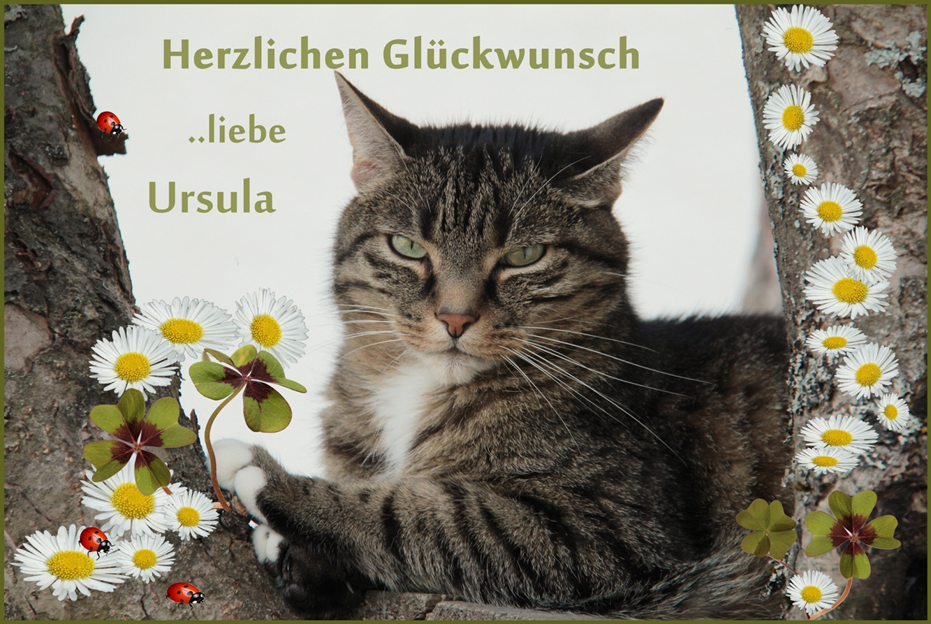 Ursula hat Geburtstag