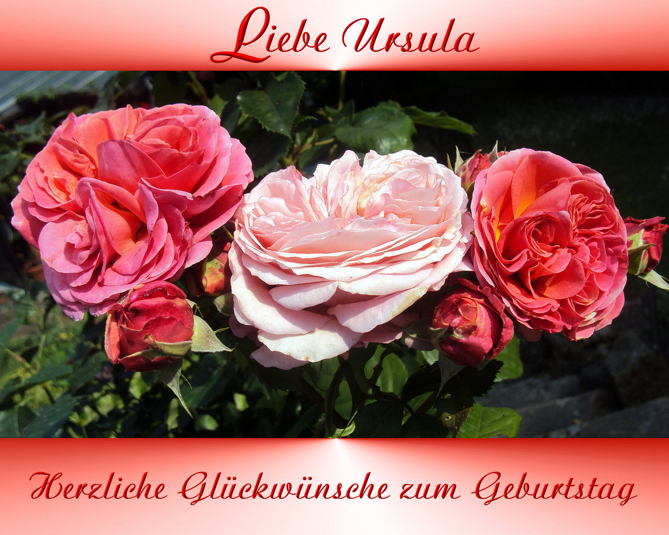 Ursula hat Geburtstag