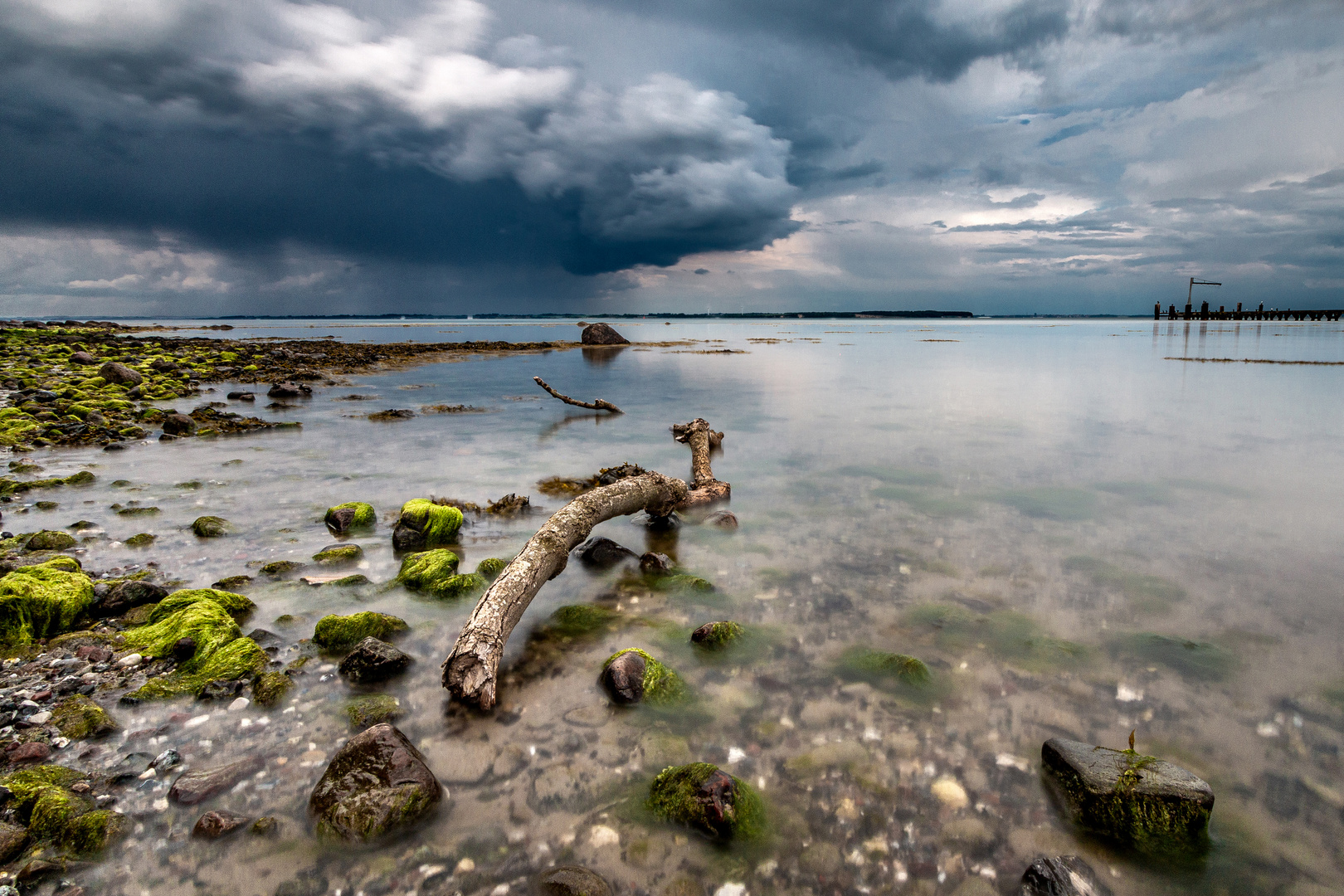 Ursuppe Foto & Bild deutschland, europe, schleswig holstein Bilder